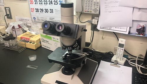 顕微鏡（一般検査）